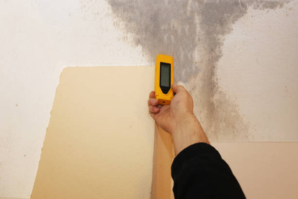 Best Forensic Mold Investigation  in Saratoga, WY
