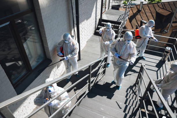 Best Asbestos and Lead Testing During Mold Inspection  in Saratoga, WY