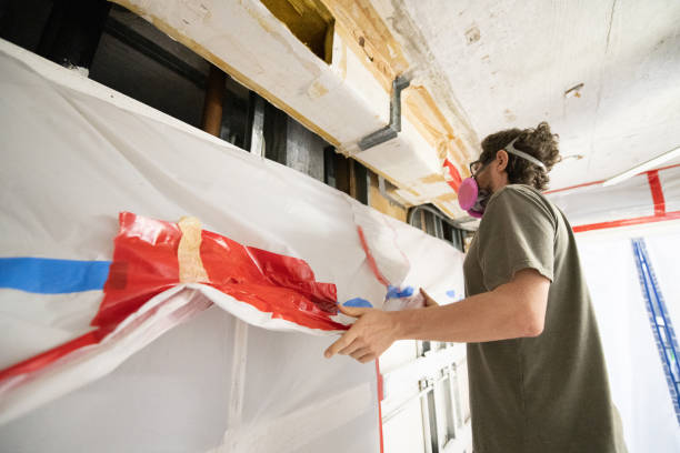 Environmental Consulting for Mold Prevention in Saratoga, WY