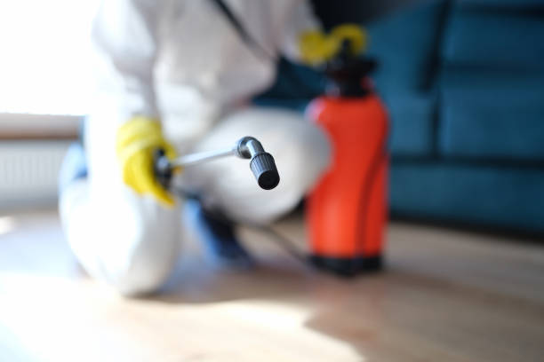 Best Commercial Mold Inspection  in Saratoga, WY