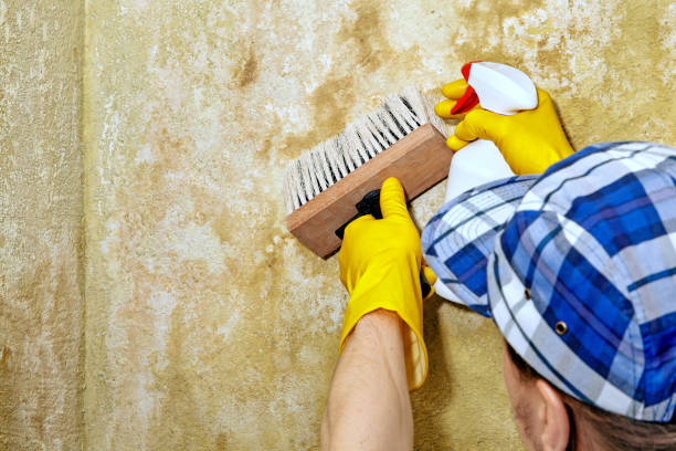 Best Crawl Space Mold Remediation  in Saratoga, WY
