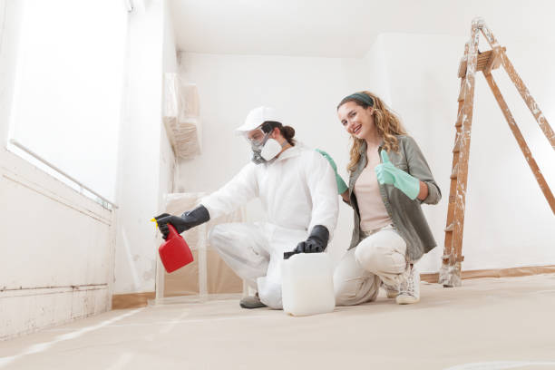 Trusted Saratoga, WY Mold Removal Experts